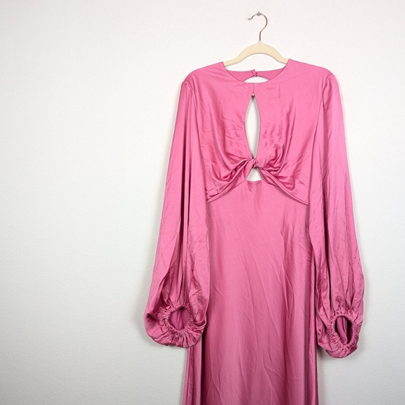 NWT Significant Other Medium Pink Demi Backless Long-Sleeve Column Gown - Picture 4 of 10